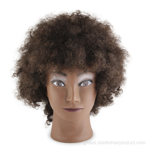 Human Hair Trainging Head Afro Hair Mannequin Hairdressing Doll Practice Training Head Supplier